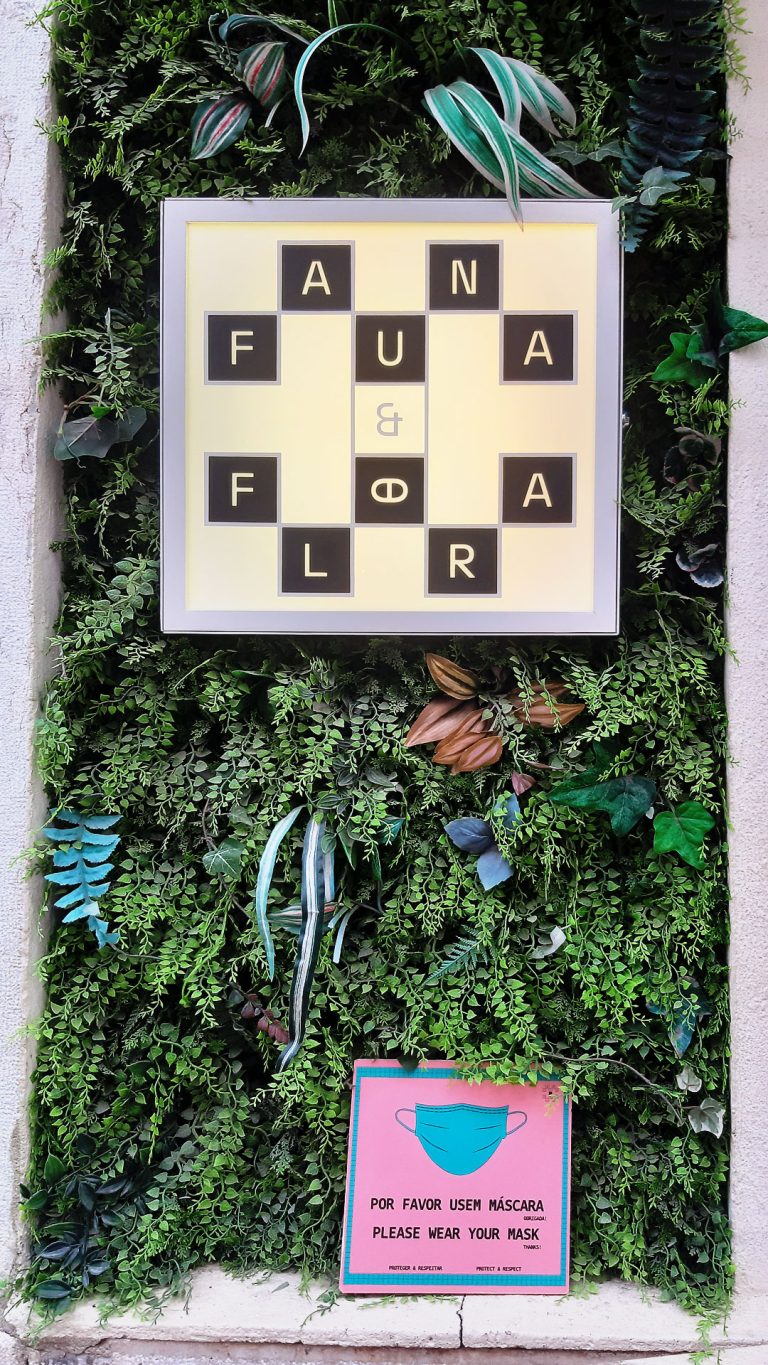 CAIXA DE LUZ – FAUNA & FLORA